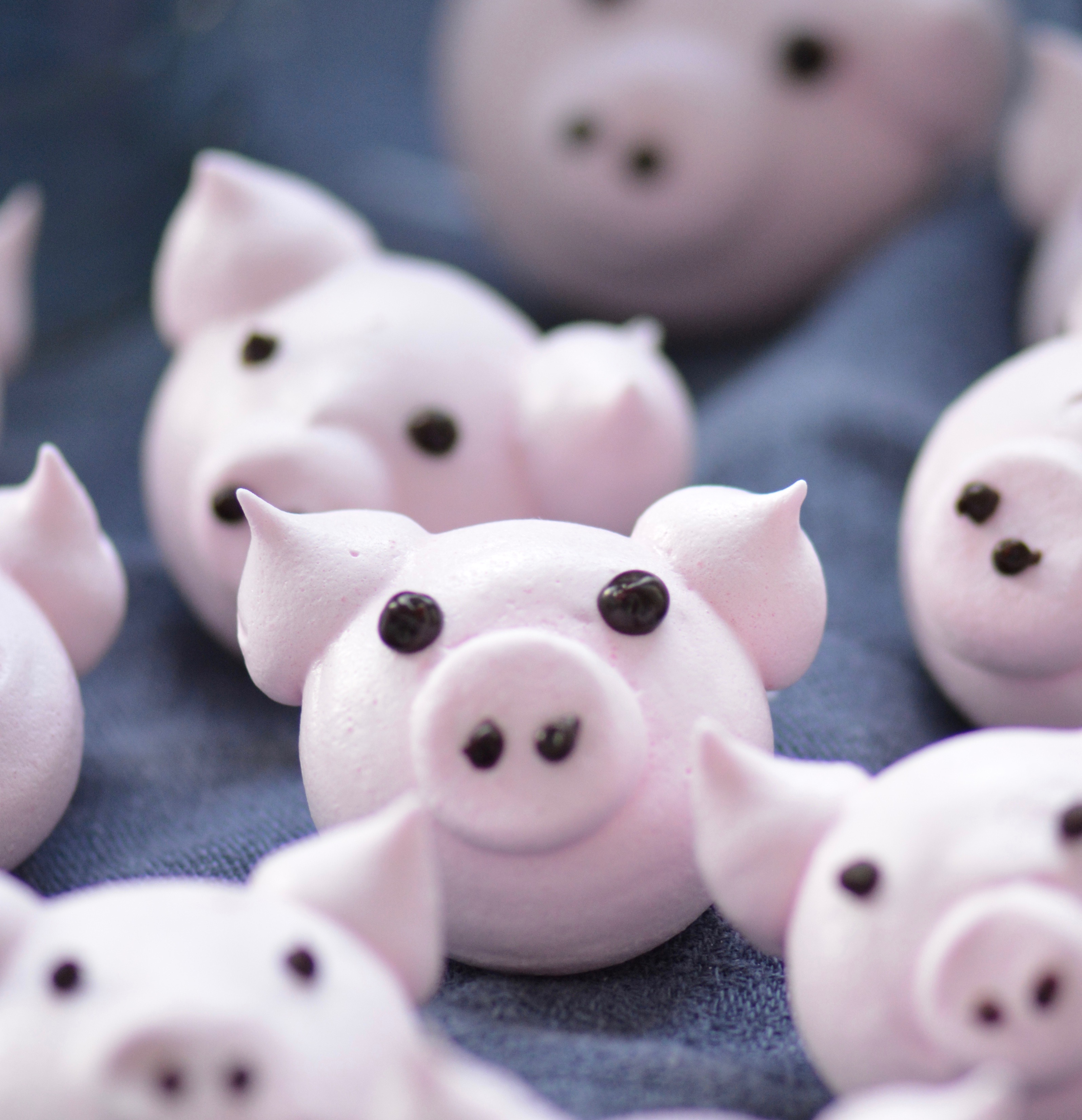 Baiser_Glücksschweinchen