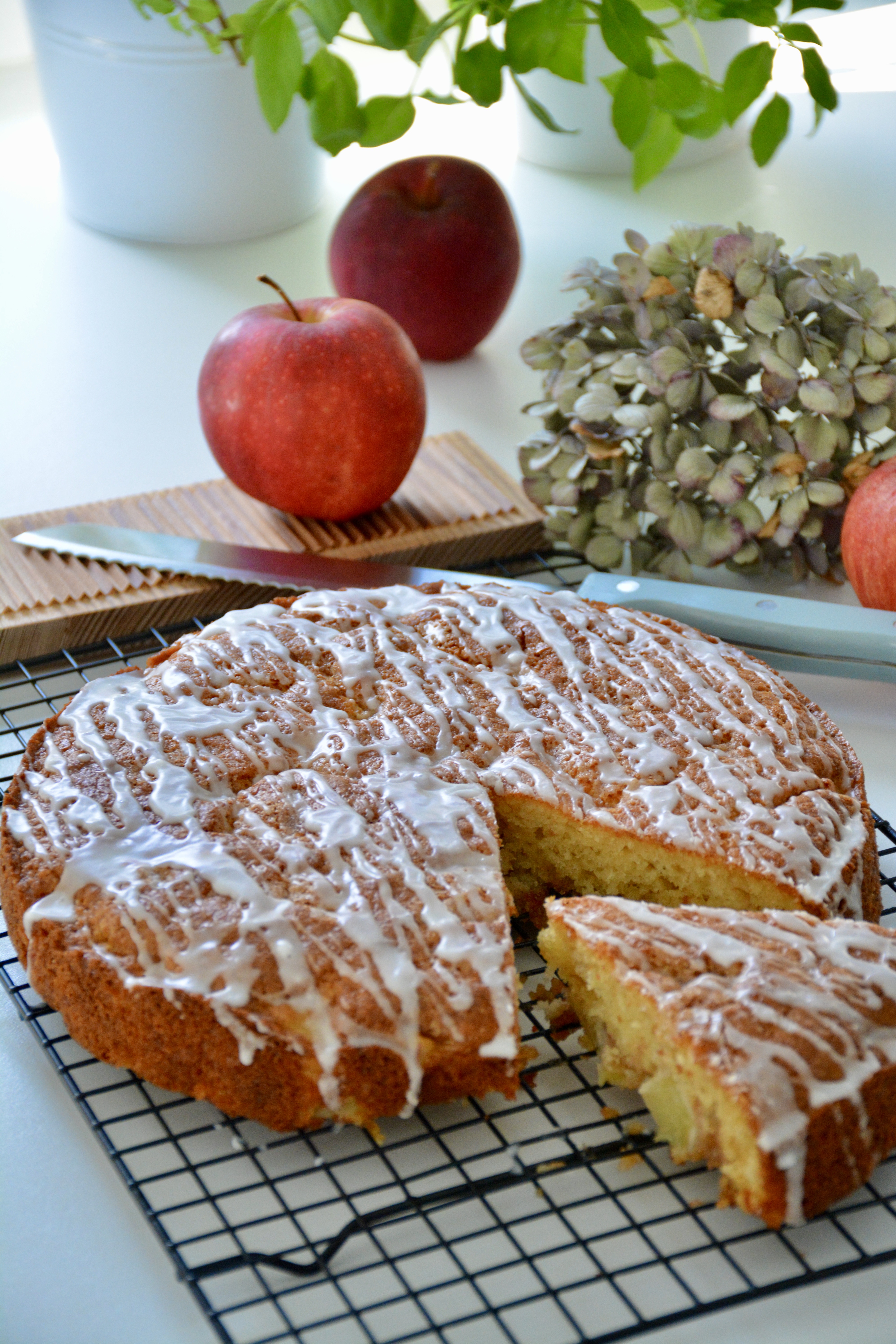 Schneller Apfel-Zimt-Kuchen