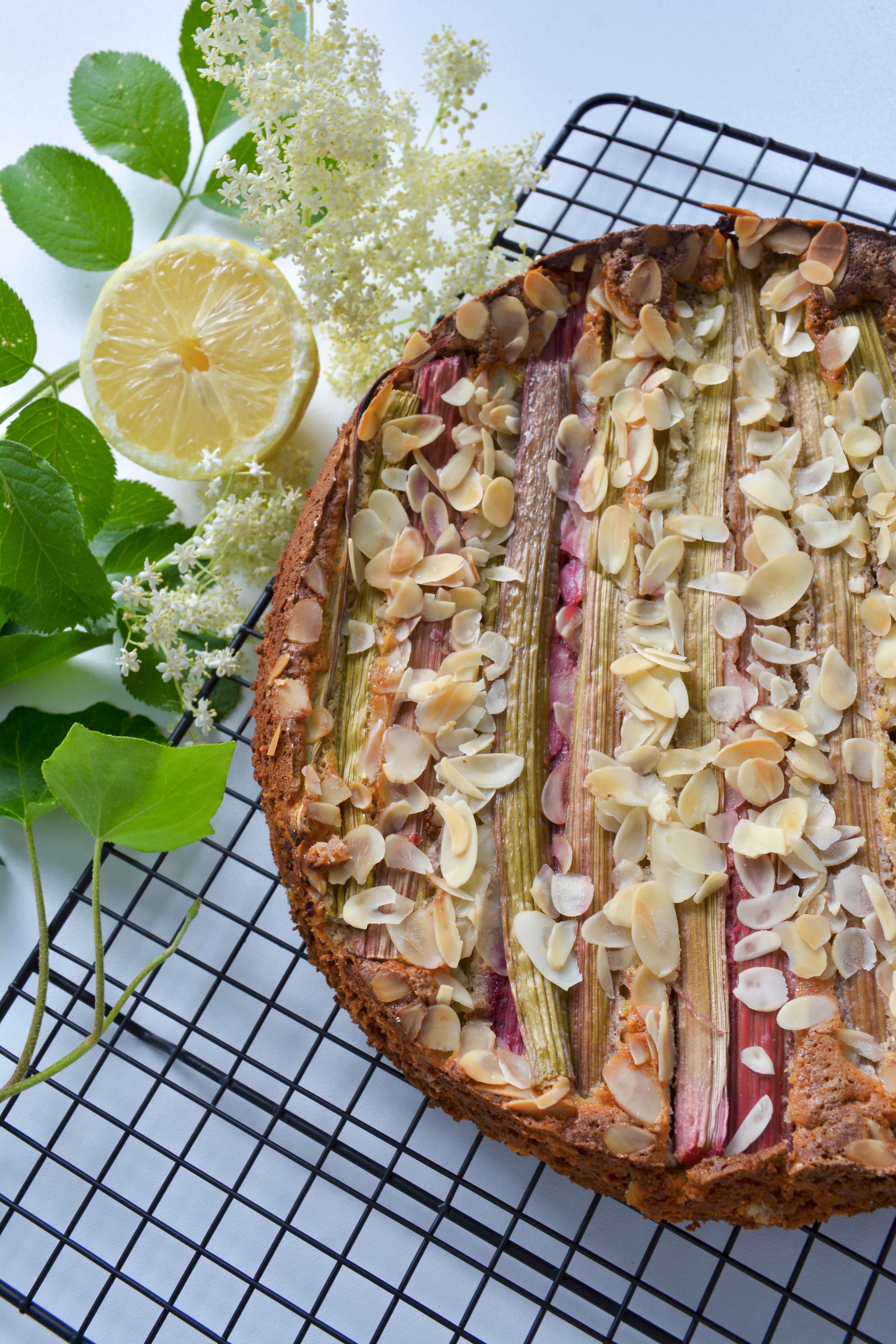 Saftiger Rhabarberkuchen mit Ricotta und Mandeln