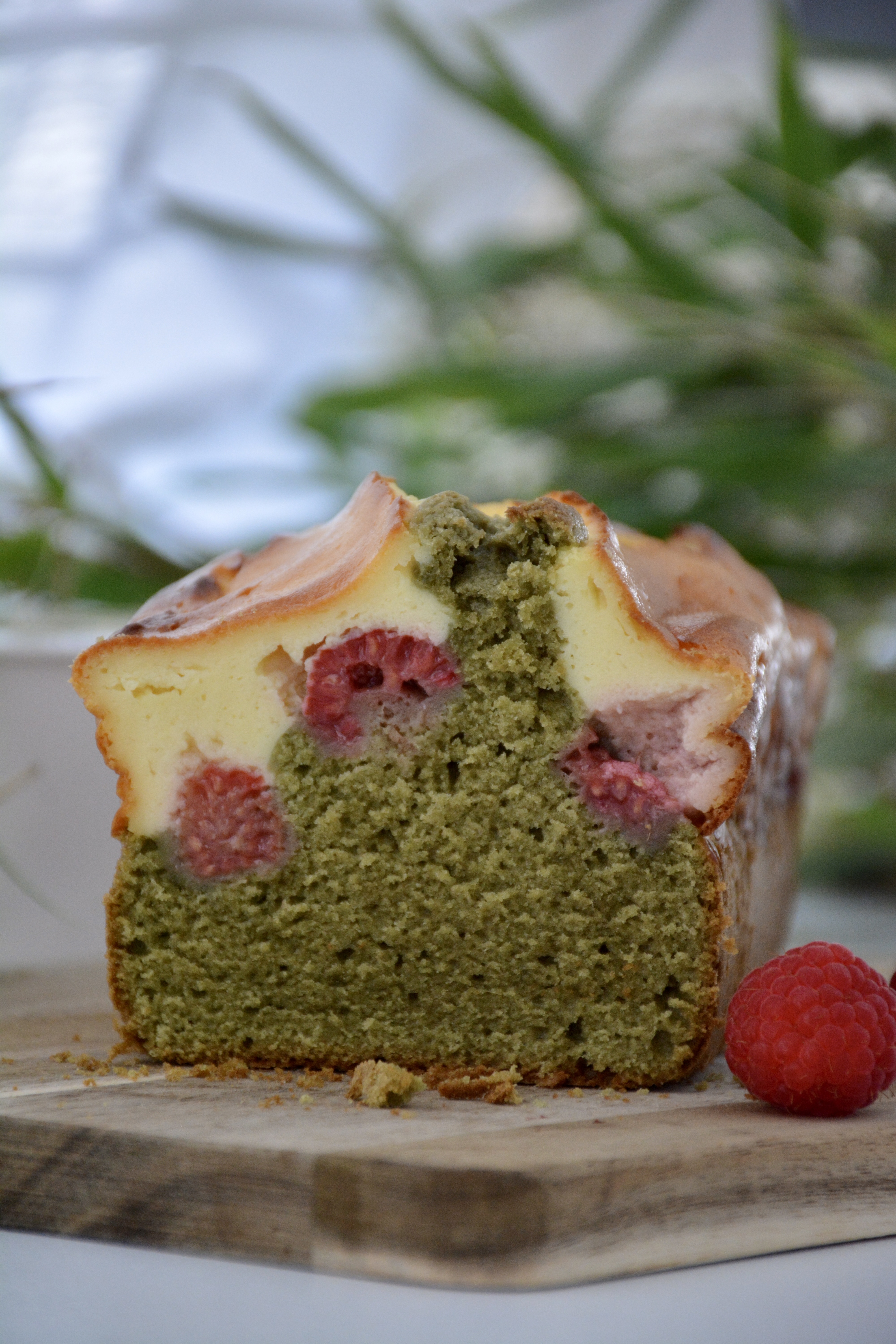 Matcha-Cheesecake - grüner Tee-Kuchen mit Käsekuchen-Topping